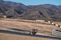 Bike_81